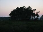 pic_00525.jpg