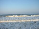 pic_00528.jpg