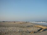 pic_00529.jpg