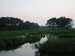 pic_00530.jpg