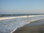 pic_00539.jpg
