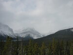 pic_00566.jpg