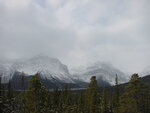 pic_00586.jpg
