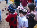 pic_00646.jpg