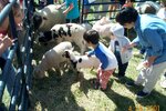 pic_00679.jpg