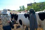 pic_00683.jpg