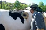 pic_00684.jpg