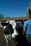 pic_00685.jpg