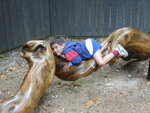 pic_00693.jpg