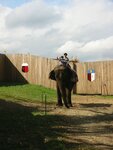 pic_00695.jpg