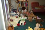 pic_00724.jpg