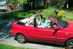 pic_00731.jpg
