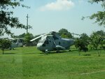 pic_00746.jpg