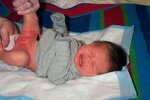 pic_00778.jpg