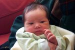 pic_00783.jpg