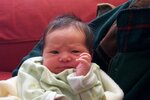 pic_00788.jpg