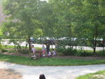 pic_00820.jpg
