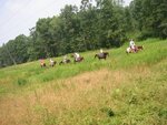 pic_00855.jpg