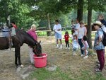 pic_00869.jpg