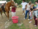 pic_00897.jpg