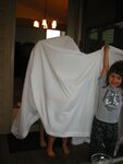 pic_00913.jpg