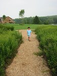 pic_00921.jpg