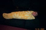 pic_00986.jpg