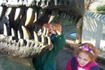Trip To The Zoo
