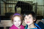 pic_01056.jpg