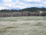 pic_06538.jpg