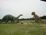 pic_06546.jpg