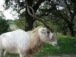 pic_06563.jpg