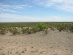 pic_06564.jpg