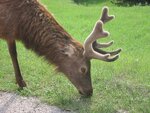 pic_06565.jpg