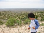 pic_06567.jpg