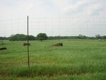 pic_06569.jpg