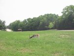 pic_06570.jpg