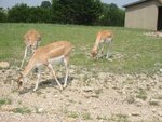 pic_06578.jpg