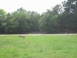 pic_06580.jpg
