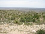 pic_06582.jpg