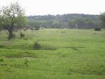 pic_06583.jpg