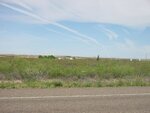 pic_06586.jpg