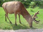 pic_06587.jpg