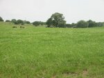 pic_06588.jpg