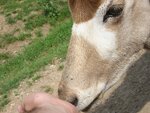 pic_06590.jpg