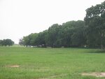 pic_06593.jpg