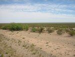 pic_06596.jpg