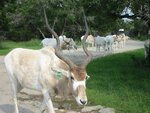 pic_06598.jpg