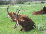 pic_06599.jpg