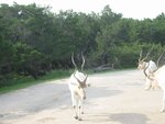 pic_06601.jpg